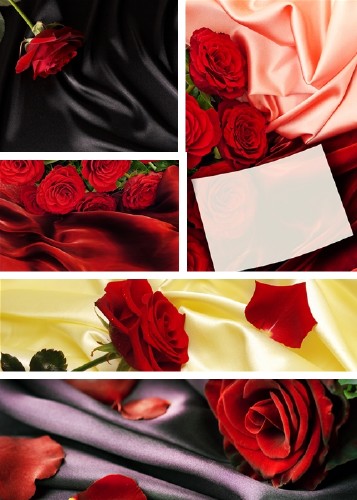 Clip-Art - Roses on silk background
