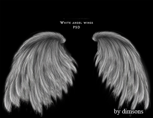 angel wings vector