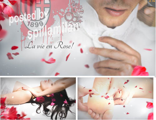 La Vie en Rose Wedding Template After Effects Project VideoHive 
