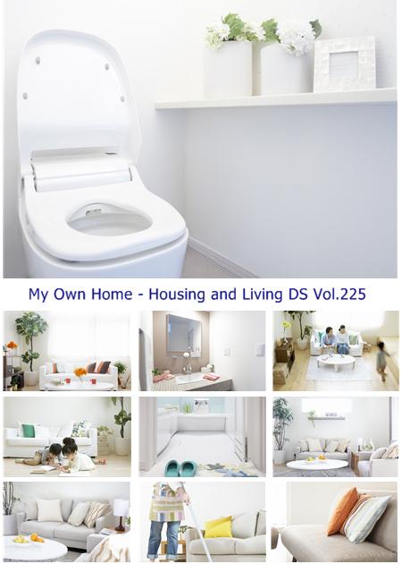 My Own Home - Housing and Living DS Vol.225