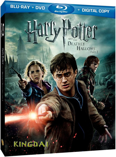 Harry Potter And The Deathly Hallows: Part 2 (2011) BRRip XviD-trlord