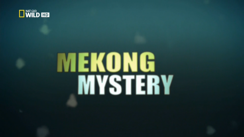 -.    / Monster fish. Mekong Mystery (Jatuporn Athasopa) [2010 .,  , HDTV 1080i]