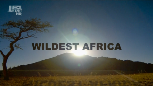   -3 (3  ) / Wildest Africa-3 ( 3 episodes ) [2010 ., , HDTV 1080i] Namibia. The Sands of Time / Mount Kenia.African Heart Of Ice / Zambezi. River of life