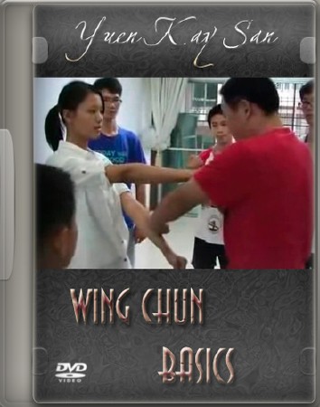 Базовый Вин Чунь / Wing Chun basics (2011) DVDRip