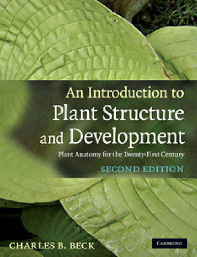 An Introduction to Plant Structure and Development: Plant Anatomy for the Twenty-First Century, 2 Edition