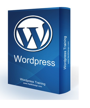 Wordpress Training ( DVD + Ebook )