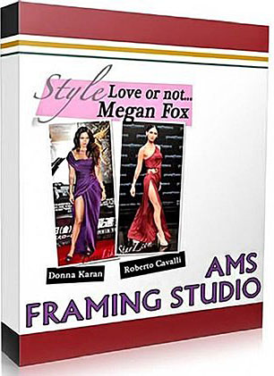  AMS Software Framing Studio 3.67 Portable (2011) 