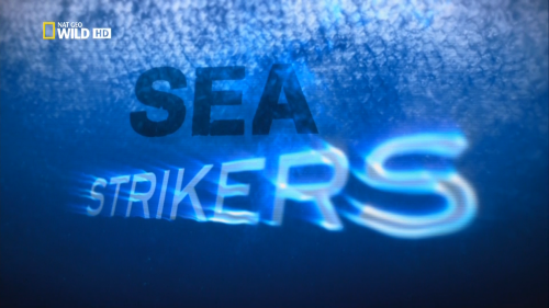 - / Sea strikers (John Joseph) [2010 ., , , HDTV 1080i]