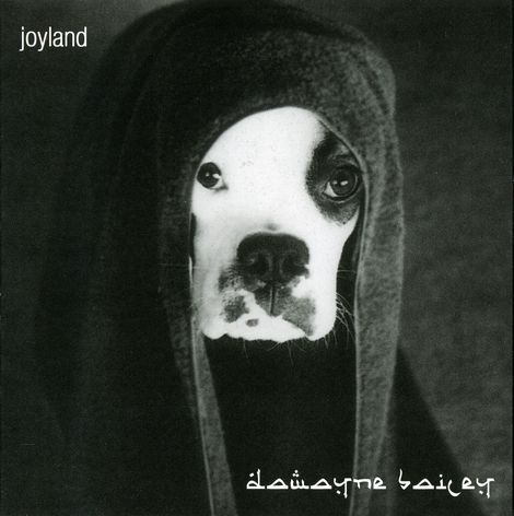(Rock) Dawayne Bailey - Joyland - 2006, APE (image+.cue), lossless