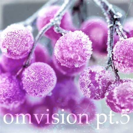 Omvision pt.5 (2012)