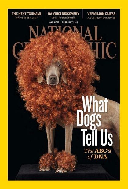 Download National Geographic USA - February 2012 (HQ PDF)