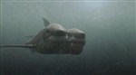 Атака двухголовой акулы / 2-Headed Shark Attack (2012 / DVDRip)