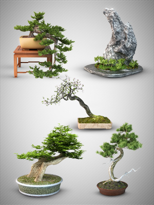 3D Models: Bonsai Tree