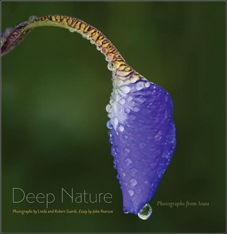 Deep Nature Photographs from Iowa by John Pearson (Repost)