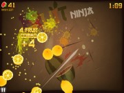 Fruit Ninja HD 1.7.2 (2011/ENG/RePack)