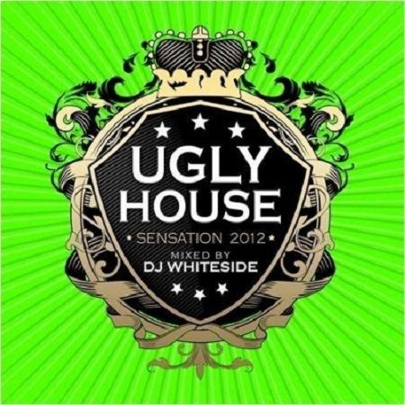 Ugly House Sensation (2012)
