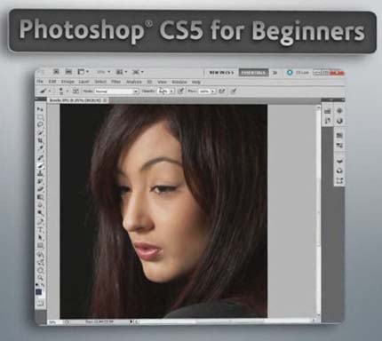 Digital Tutors – Photoshop CS5 for Beginners