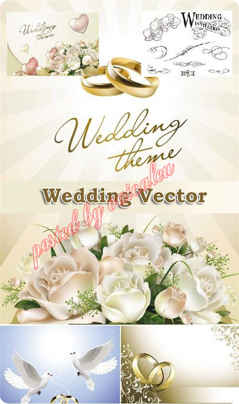 Wedding vector templates wedding rings pigeons roses 