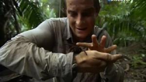 Выжить любой ценой / Discovery: Man vs. Wild (6-7 season /2011/HDTVRip 720p)