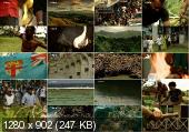  / Islands Fiji (2011) HDTVRip 720p