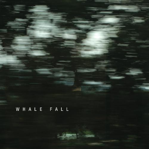 Whale Fall - Whale Fall (2011)