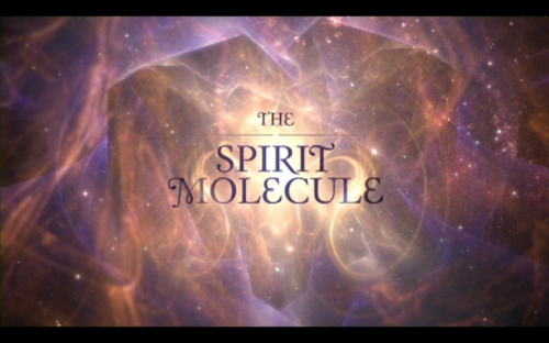 :   / DMT: The Spirit Molecule (2010)  DVDRip